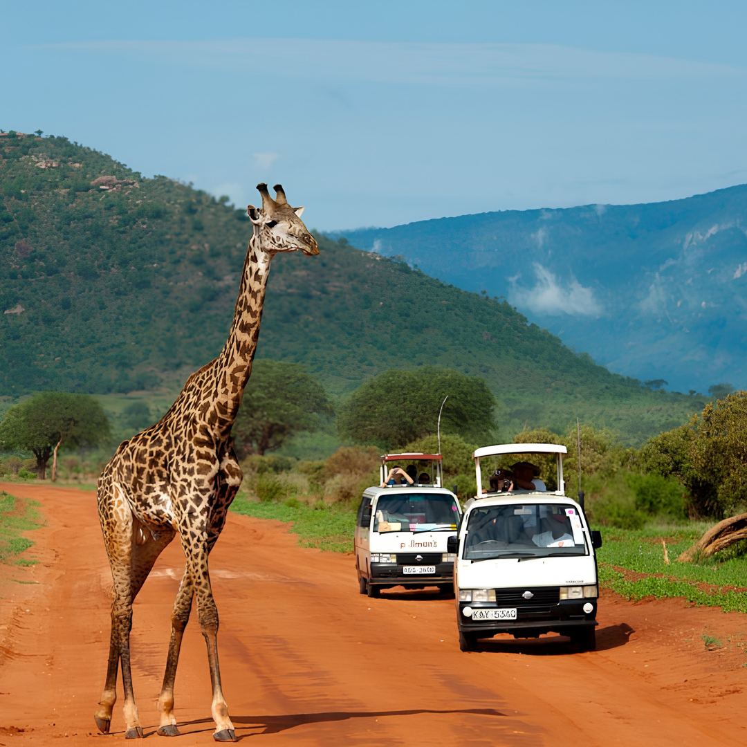 Kenyan Ultimate Safari