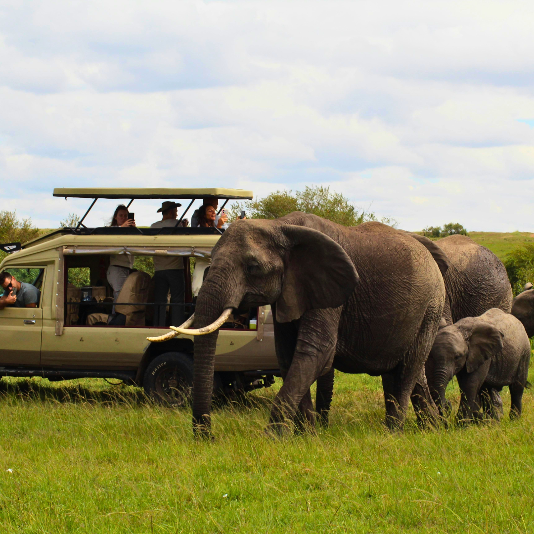 Kenyan Ultimate Safari
