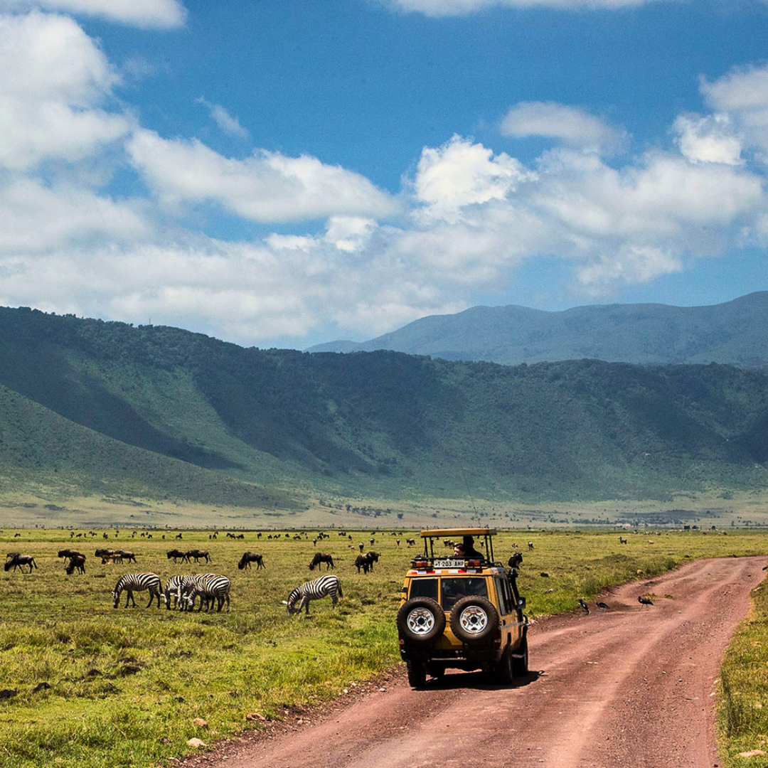 Tanzania Big 5 safari with All Inclusive Zanzibar