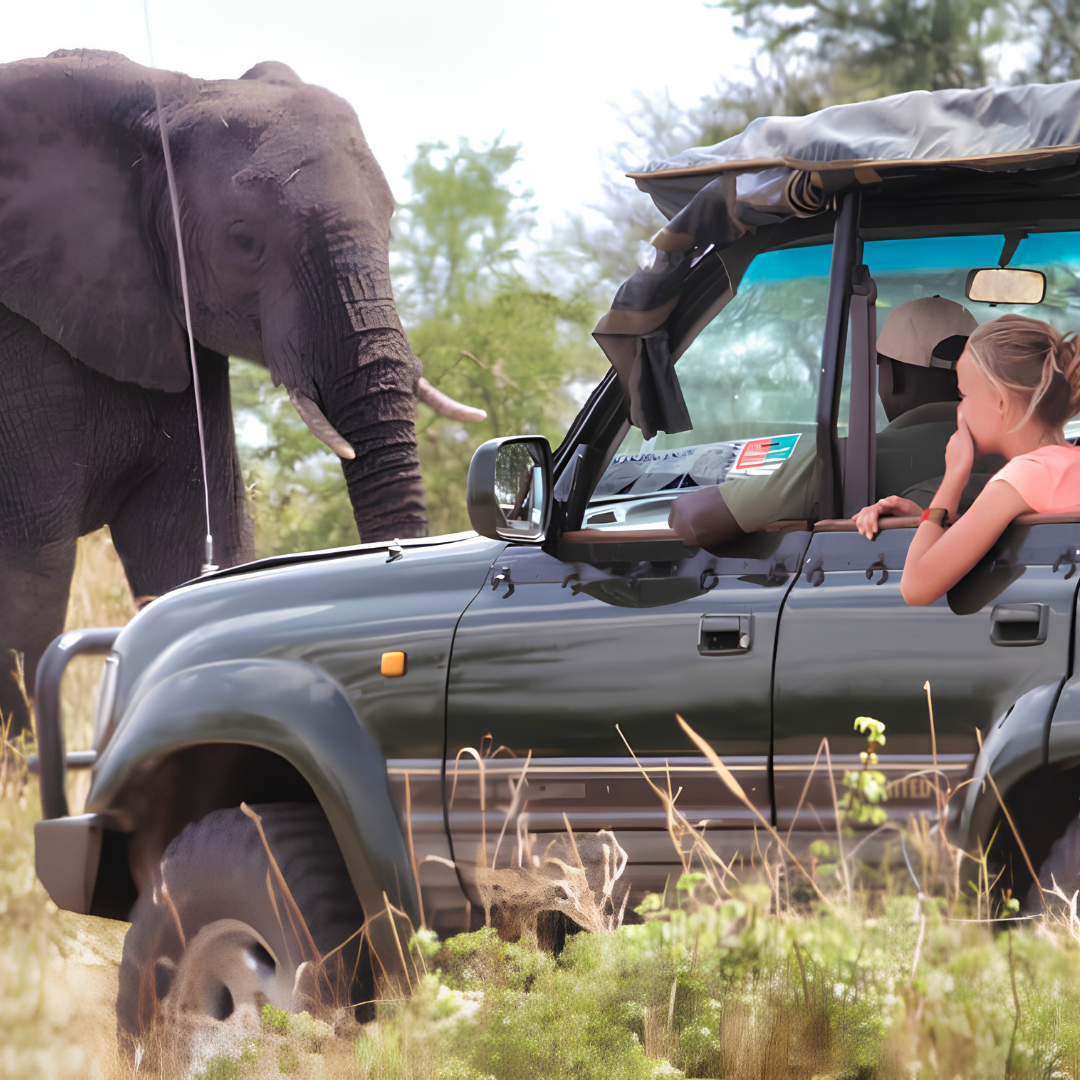 Tanzania Big 5 safari with All Inclusive Zanzibar