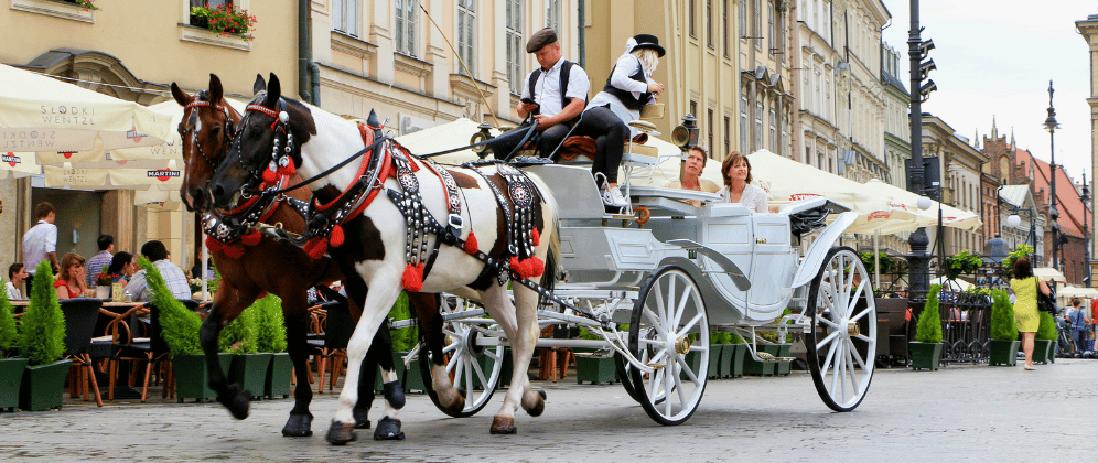 Krakow City Break