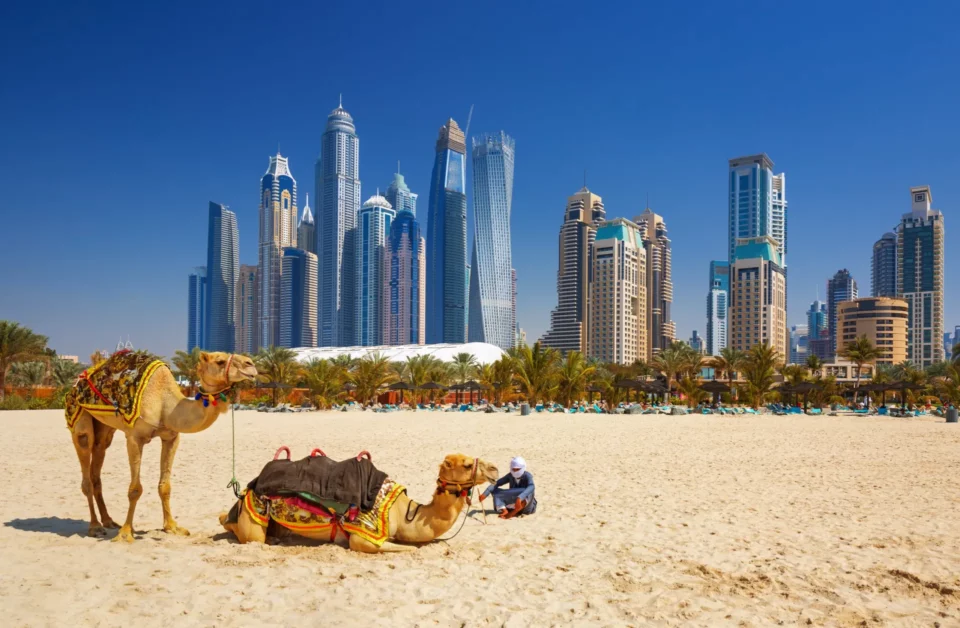 shutterstock_631606541-scaled