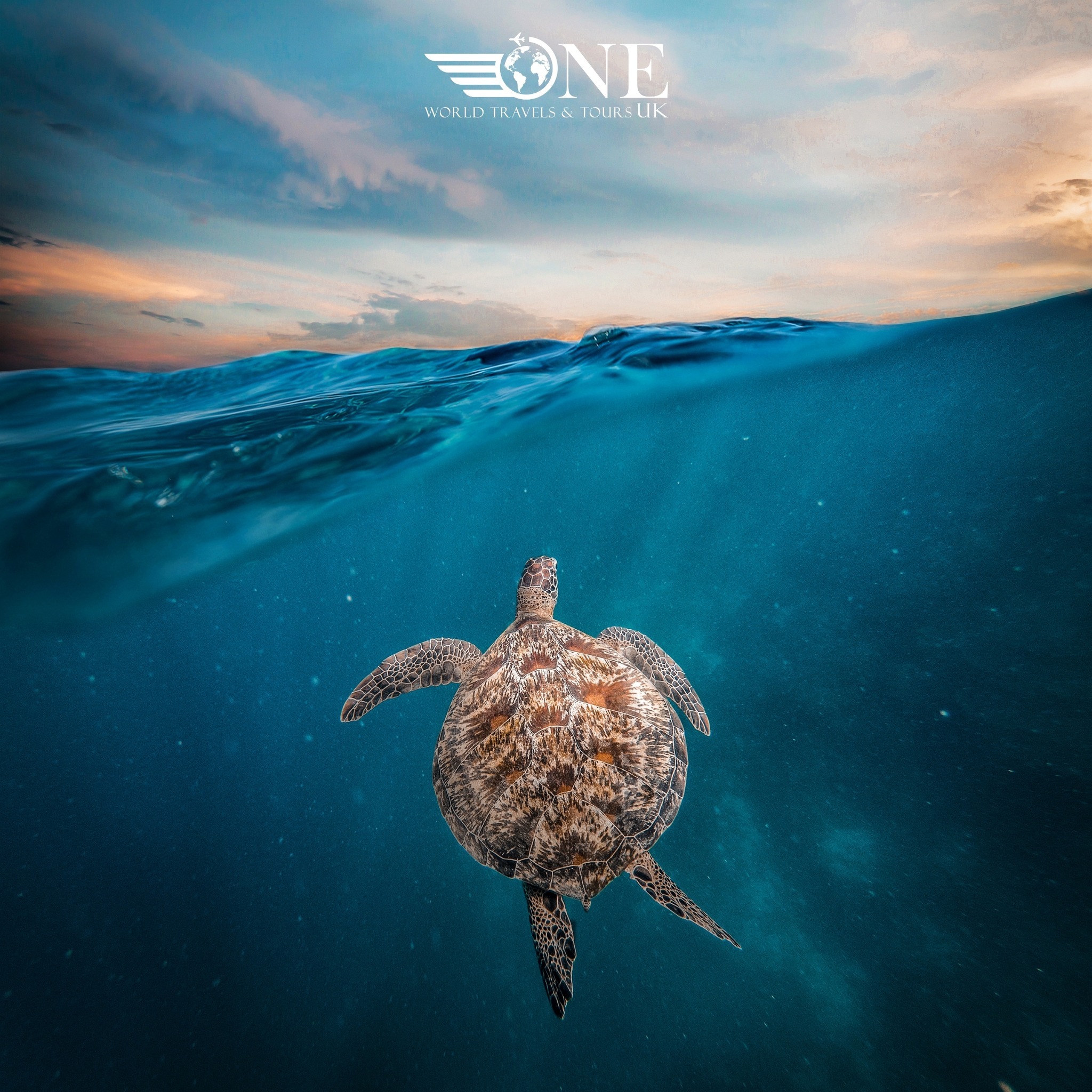 506801223_599683496498771_8910441153923827431_n